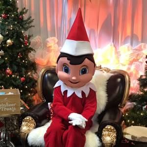 Meet your Posher, Eva